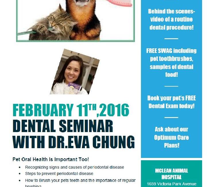McLean Animal Hospital Dental Seminar event