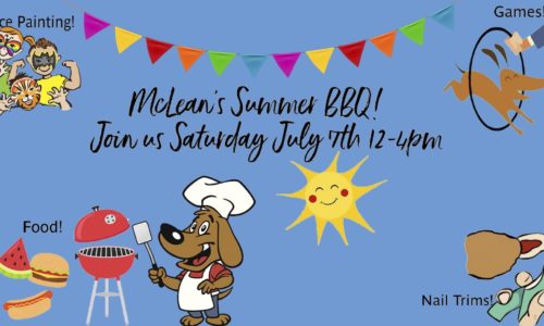McLean Animal Hospital Summer BBQ event poster