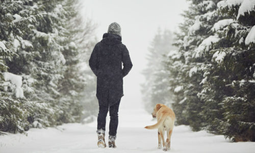 Dog owner and dog walking in the snow
