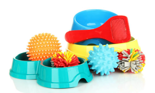 Pet Toys and Accessories
