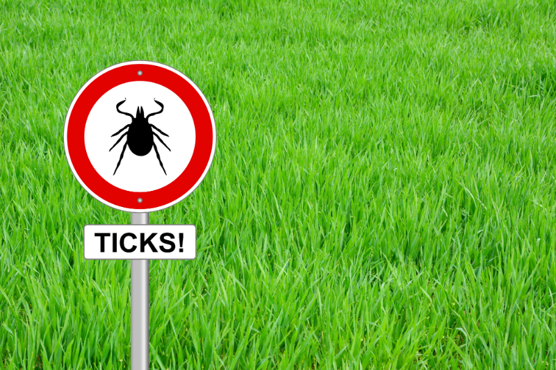 Beware of Ticks