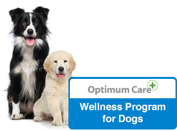 optimum care wellness program for dogs
